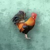 天美传奇mv在线高清手机版